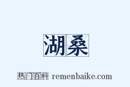 湖桑是什么意思的图片